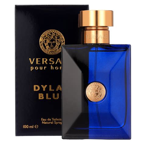 dani blue perfume versace|dylan blue by versace.